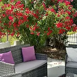 Zante Star Summer House
