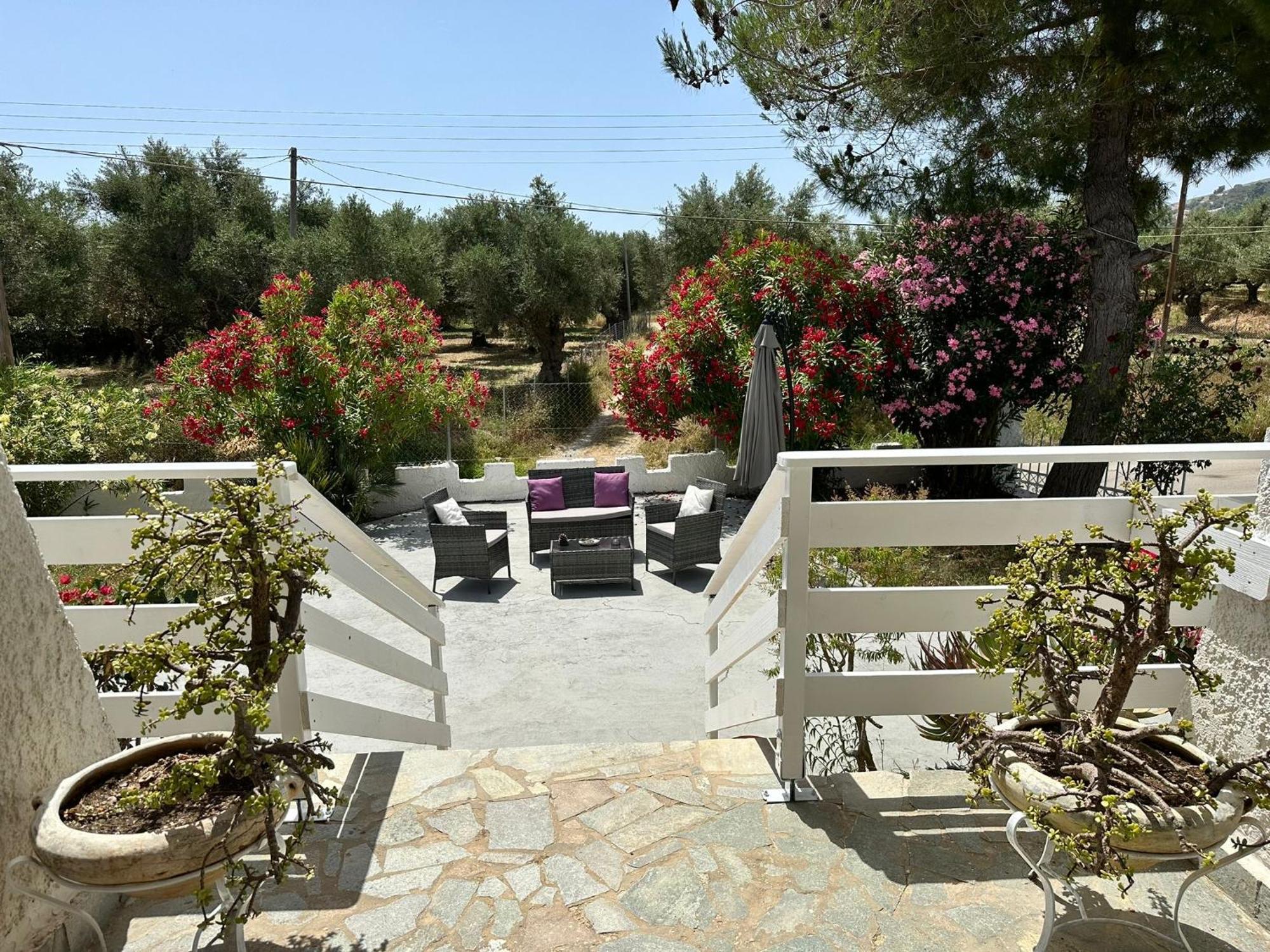Zante Star Summer House Pandokrátor